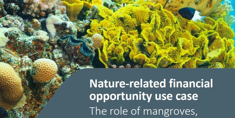 Cover of Nature-related financial opportunity use case
