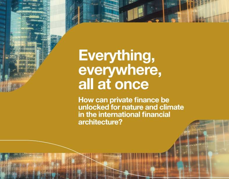 Cover of Everything, everywhere, all at once publication